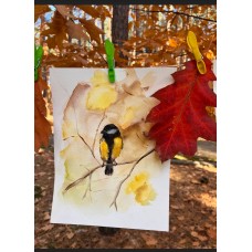 Tit, bird - original painting, watercolor painting. Artist Marina Stognieva